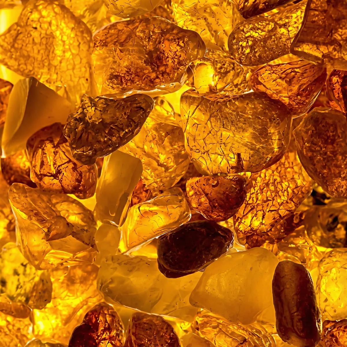 Heap of raw Baltic amber pieces glowing in honey and orange tones